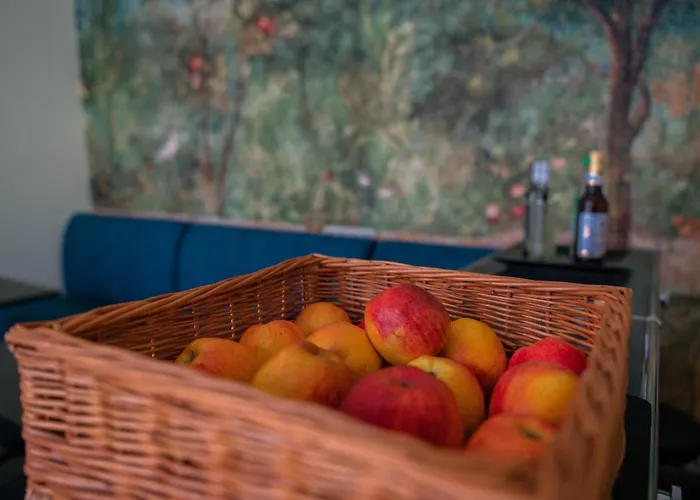 Ξενοδοχείο Hofgarten 1824 Garni 3*